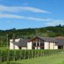 La nuova cantina ed i vigneti di RoncSoreli 