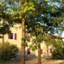 Una delle residenze adiacenti alla cantina di RoncSoreli 
