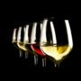 I colori di RoncSoreli nel bicchiere. Vini di eccellenza dal Friuli 