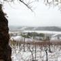 inverno a RoncSoreli terra di vini friulani 