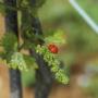 Rispetto della natura a RoncSoreli (2) 